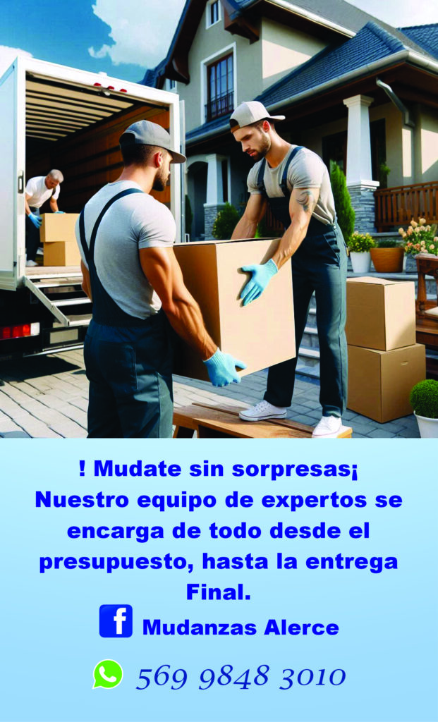 Mudanzas alerce